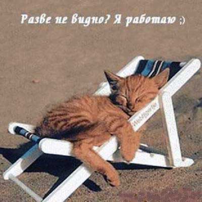 Надоело работать в 2019 году Надоело работать в 2019 году