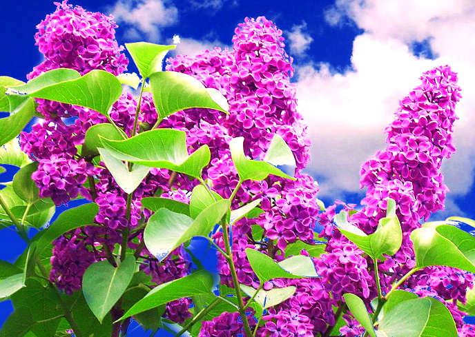 ÐÐ°ÑÑÐ¸Ð½ÐºÐ¸ Ð¿Ð¾ Ð·Ð°Ð¿ÑÐ¾ÑÑ Ð¼Ð°Ð¹