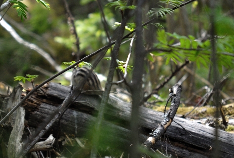 Слоганы Слоганы