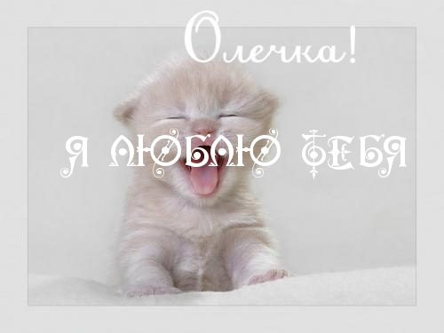 оля я люблю тебя картинки онлайн оля я люблю тебя картинки