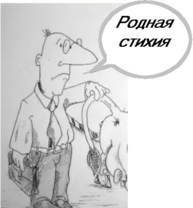 виды паразитов живущих в организме человека виды паразитов живущих в организме человека