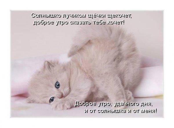 картинки юля с добрым утром