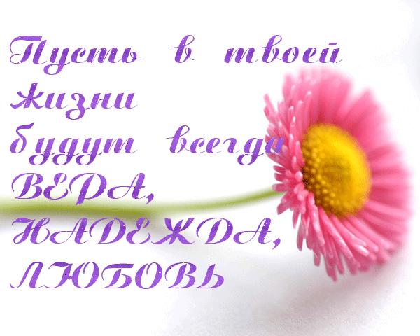 картинки пожелания счастья и любви