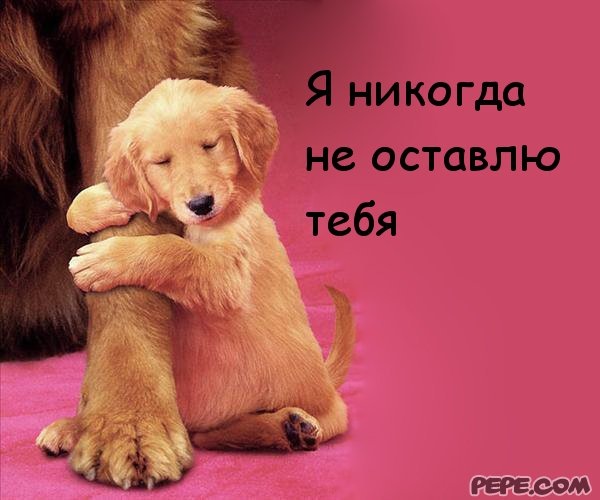 Поздравления днем, открытки не брошу никогда