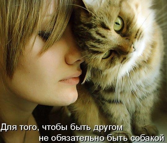 хочу к тебе прижаться картинки онлайн хочу к тебе прижаться картинки