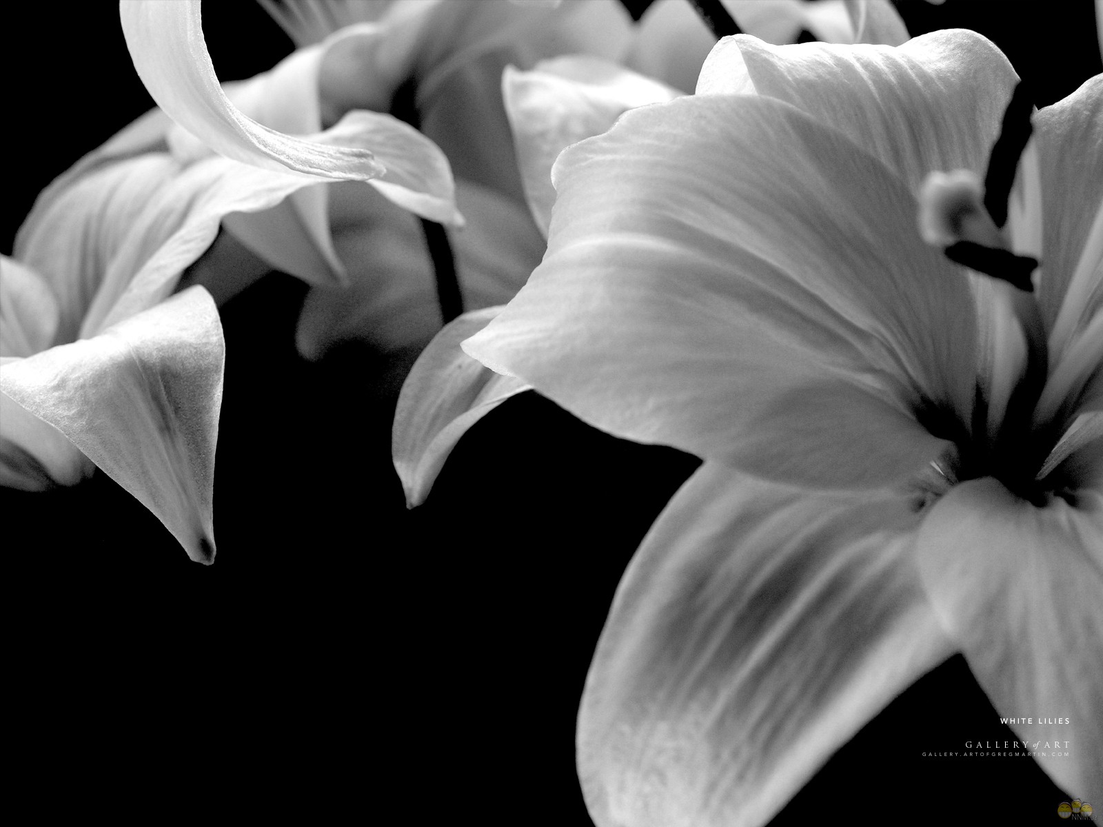 Официальный