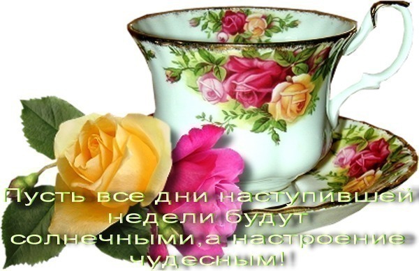 foto-vipili-s-podrugoy-strapon-vozmozhen