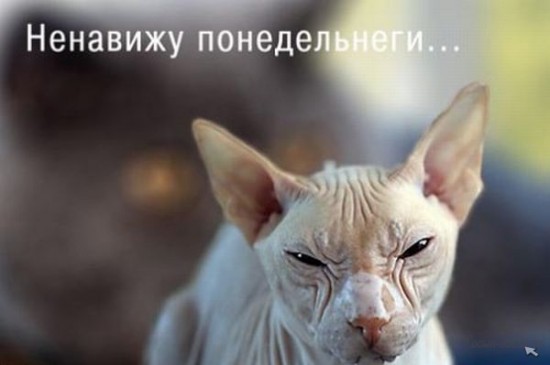 http://www.stihi.ru/pics/2012/09/23/1905.jpg