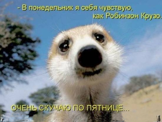 https://www.stihi.ru/pics/2012/09/27/3745.jpg