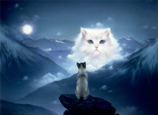 Resultado de imagem para мистика кошка