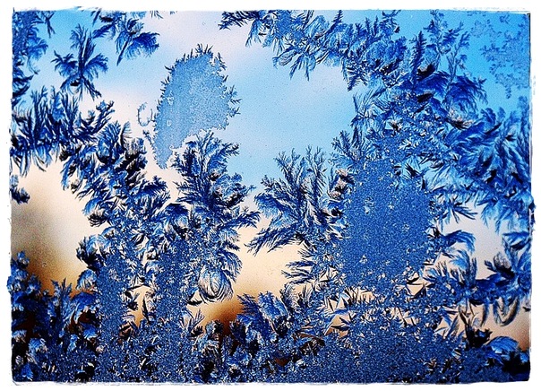 О жизни: Морозные узоры