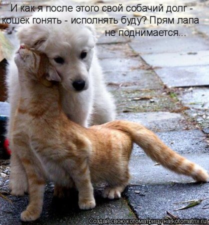 Документы Детский портал Солнышко для детей и любящих их