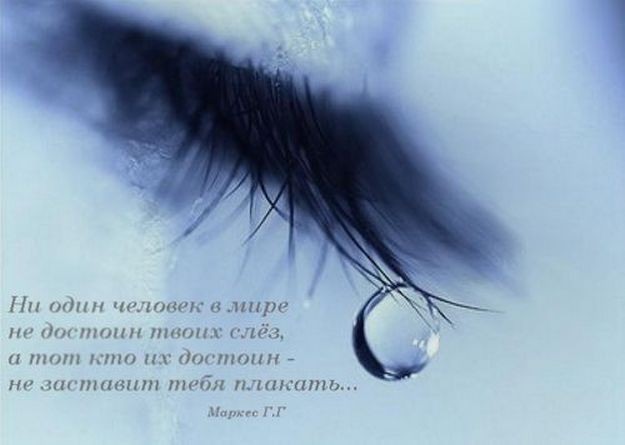 Стих если кто достоин Стих если кто достоин