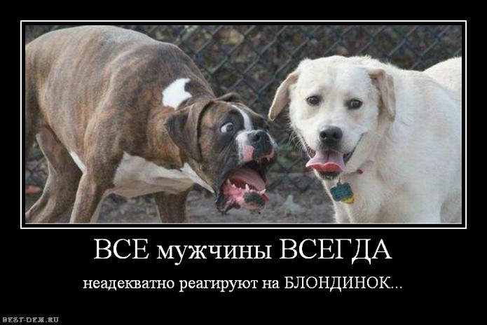 Приколы о мужчинах картинки