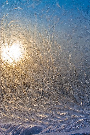 О жизни: Морозные узоры