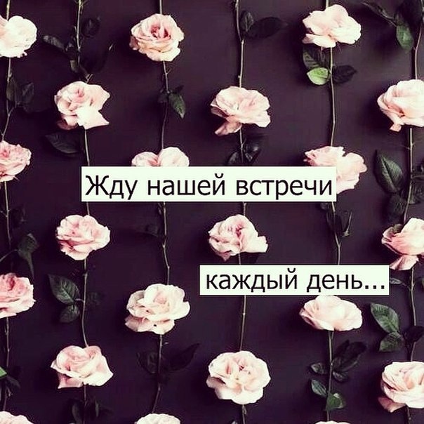 Картинки когда ждешь встречи