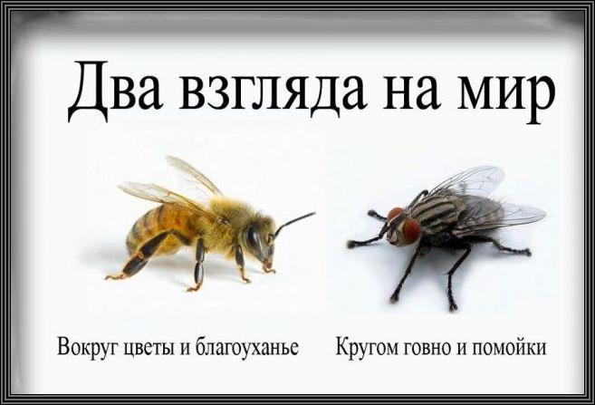 Похожее изображение