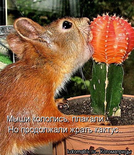 https://www.stihi.ru/pics/2013/05/17/3185.jpg