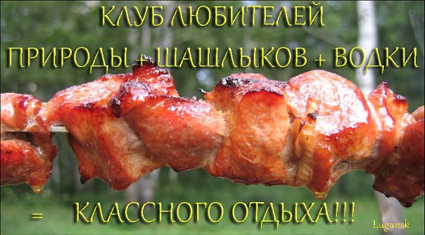 Стихи про отдых на природе Стихи про отдых на природе