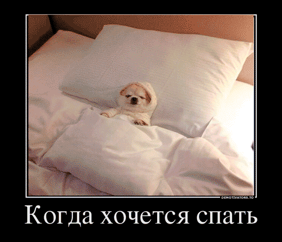 Картинки когда хочется спать на работе