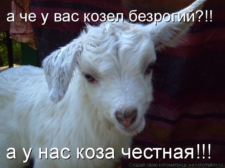 Картинки ты козел, счастье картинки красивые