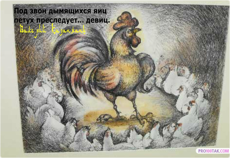 Прикольные картинки про петуха и курицу, день