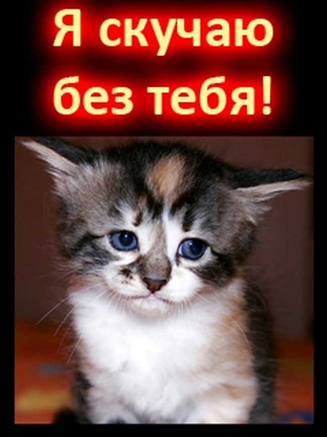 Открытки, без тебя скучно картинки с надписями