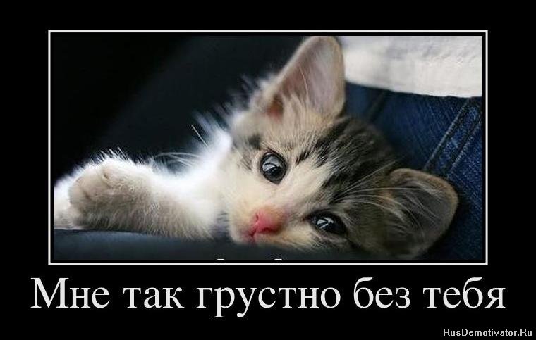 Картинка дышите, картинки мне грустно без тебя любимый