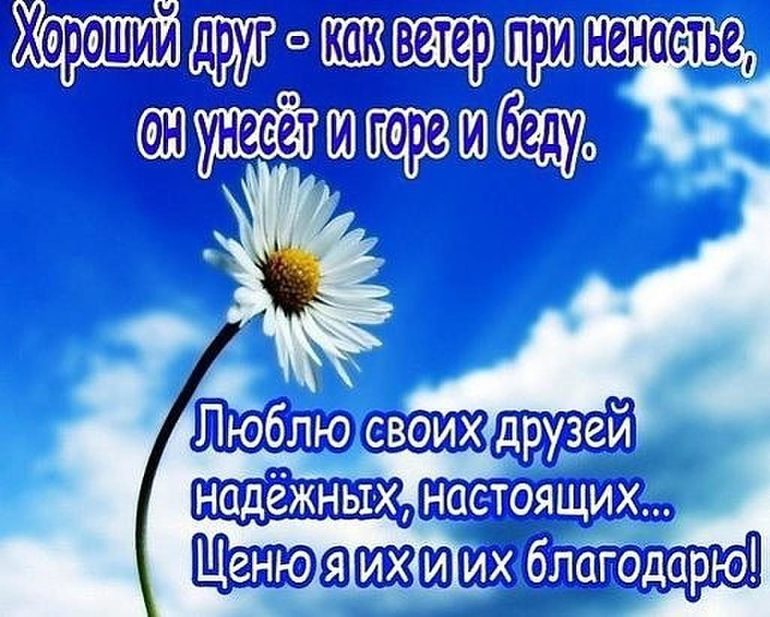 Открытка я тебя люблю и ценю