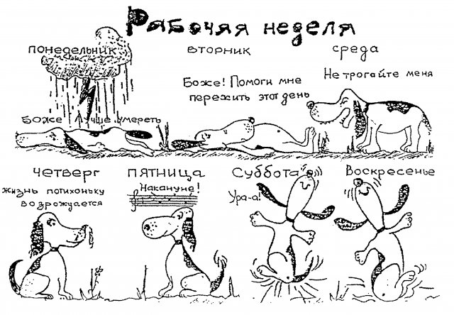 Дню, картинки про рабочую неделю лошади