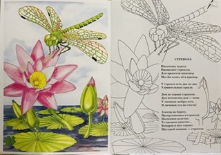 картинки для детей стрекоза онлайн картинки для детей стрекоза