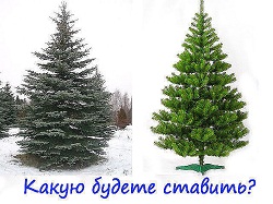 http://www.stihi.ru/pics/2014/02/15/1537.jpg