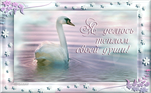 Ты тепло моей души стих Ты тепло моей души стих
