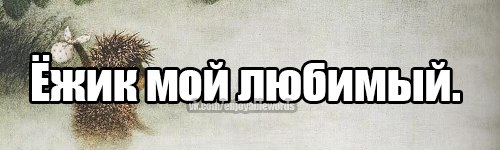 я тебя люблю ежик картинки онлайн