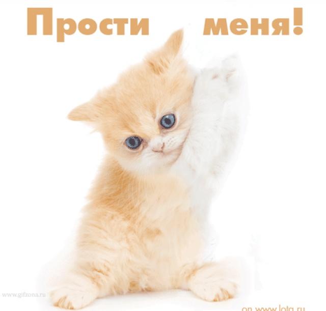 Открытка прости меня я люблю тебя