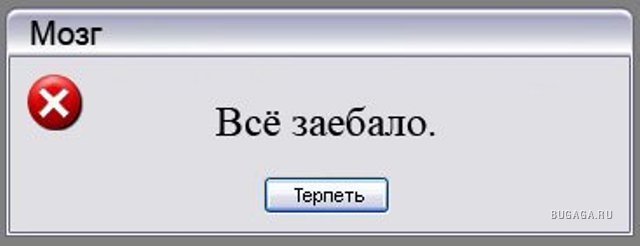 Картинки про, картинки с надписями все заебало