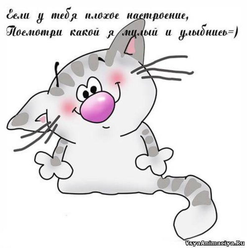 Открытки для настроения прикольные женщине, прощание