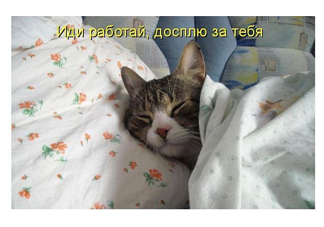 Открытки иди работай