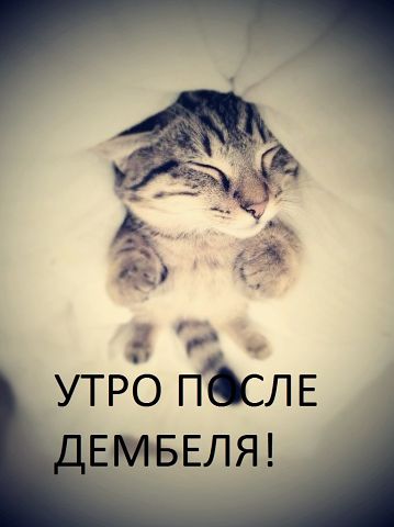 Мужчина мой, прикольные картинки скоро дембель
