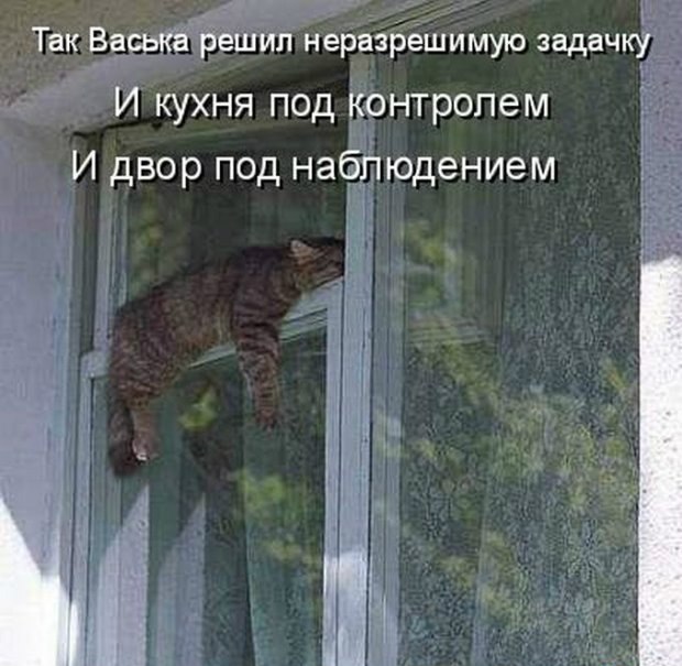 Летием девушке, смешные картинки о окнах