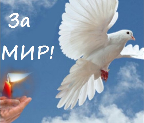 Картинки пусть будет мир во всем мире, открытки цветами