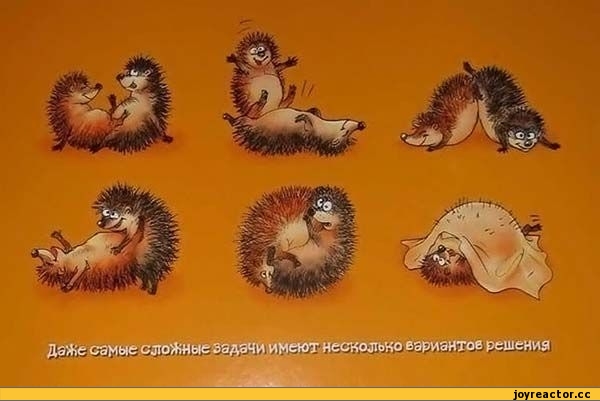 Стих о камасутре Стих о камасутре