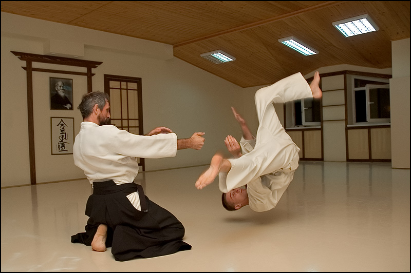 Картинки смешные каратэ, свиней