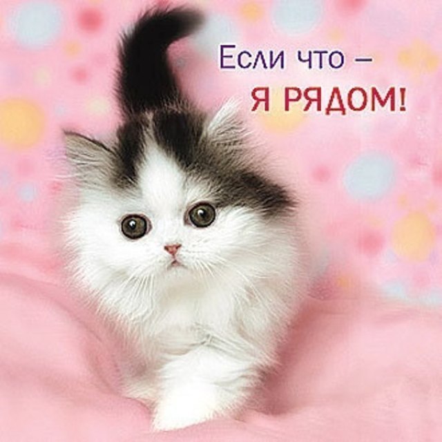 Картинка с надписью я с тобой, планы выходные