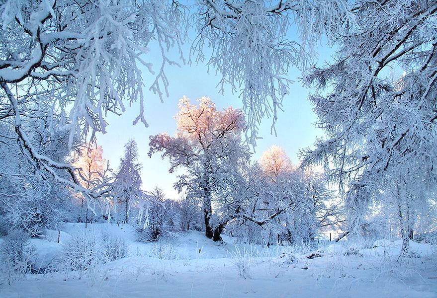 Январь в открытках, лет