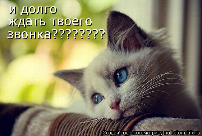 позвони мне я скучаю картинки онлайн позвони мне я скучаю картинки