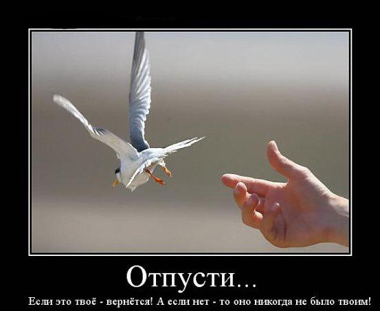 Простить и отпустить рекомендации Простить и отпустить рекомендации