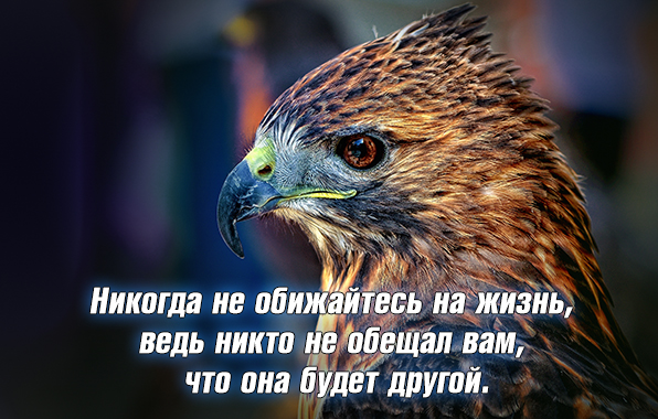 Картинки не обижай меня никогда