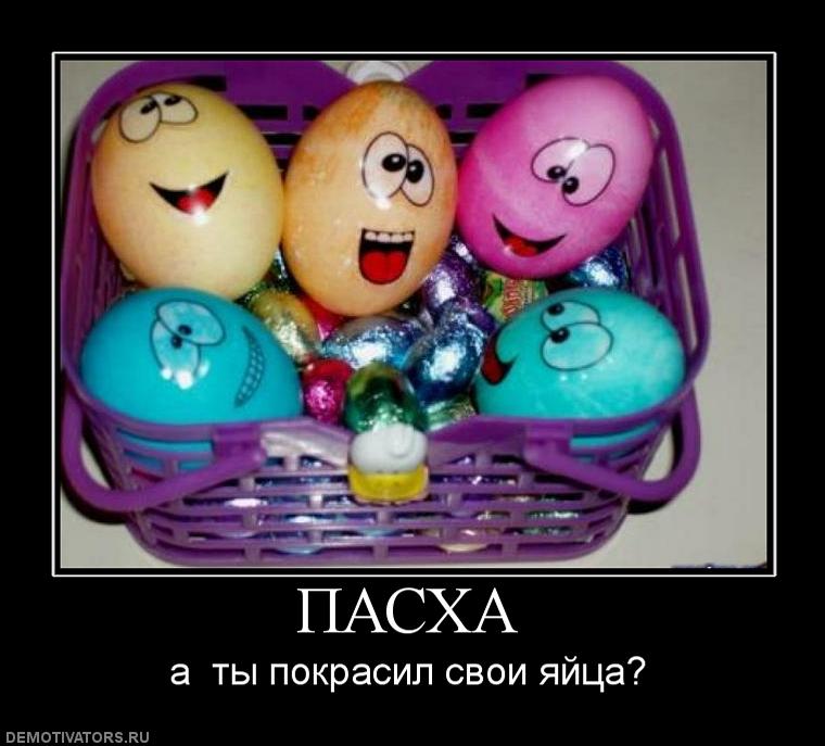 Прикольные картинки на тему яйца, марта женщине