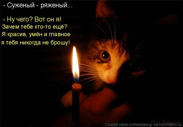 МОЙ СУЖЕНЫЙ МОЙ РЯЖЕНЫЙ СКАЧАТЬ БЕСПЛАТНО МОЙ СУЖЕНЫЙ МОЙ РЯЖЕНЫЙ СКАЧАТЬ БЕСПЛАТНО